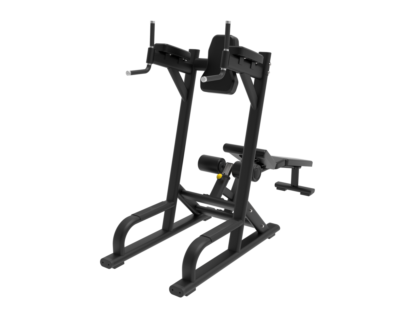 Leg Raise/Tricep Dip Station - PL Pro Series