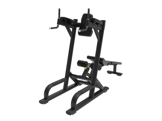 Leg Raise/Tricep Dip Station - PL Pro Series