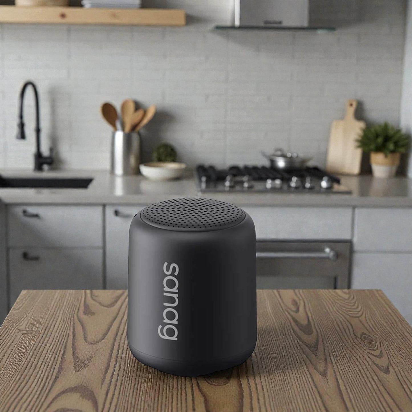 Speaker Sanag X6S-black