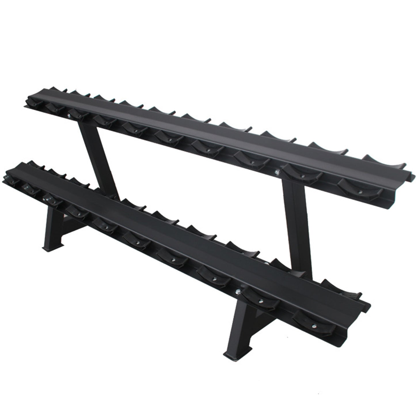 Dumbbell Storage Rack Holds 10 Pairs Modern Fitness