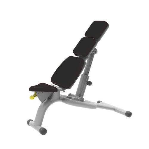 Dumbbell Bench - T Pro Series