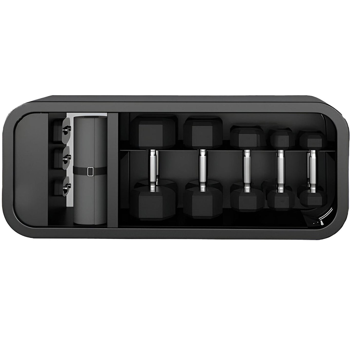 Tech Weight Bench Under-Bench Dumbbell Storage