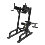 Leg Raise/Tricep Dip Station - PL Pro Series