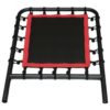 Pilates Reformer Trampoline Attachment