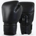 12oz Boxing Gloves