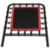 Pilates Reformer Trampoline Attachment