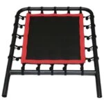 Pilates Reformer Trampoline Attachment